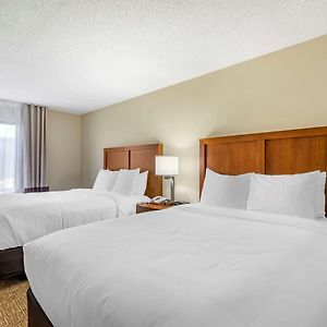 One-Bedroom Queen Suite